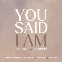 You Said I Am (Behold and Believe)